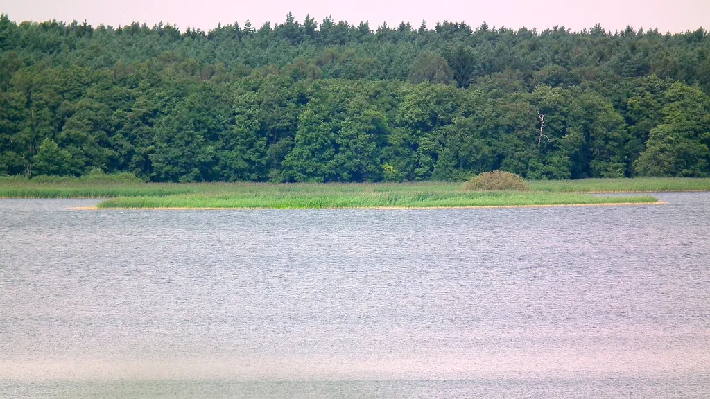 LSG L2a2 Seengebiet Warin - Neukloster (Nordwestmecklenburg) Großer Wariner See - Grosse Insel