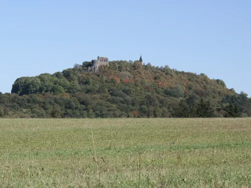 Zřícenina hradu Švamberk (nazýván též Krasíkov) na vrchu Krasíkov v okrese Tachov, Plzeňský kraj, Česká republika.