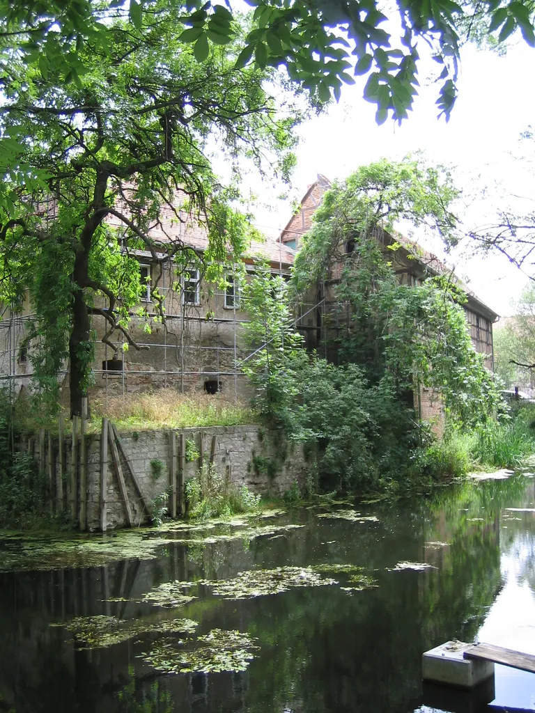 Burggraben der Ollendorfer Wasserburg