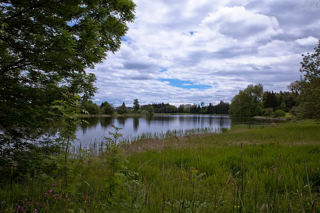 The pond of Neuravensburg