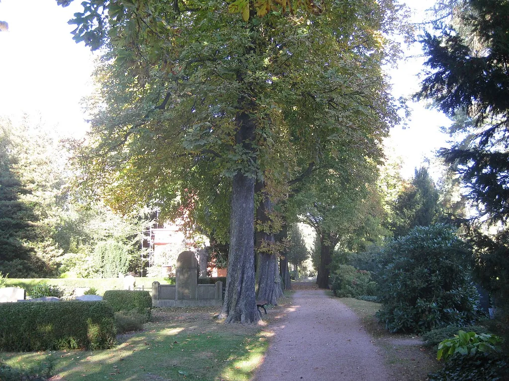 Kirchhof (Gartendenkmal) am Kirchberg 2; 3; 4 in Chemnitz