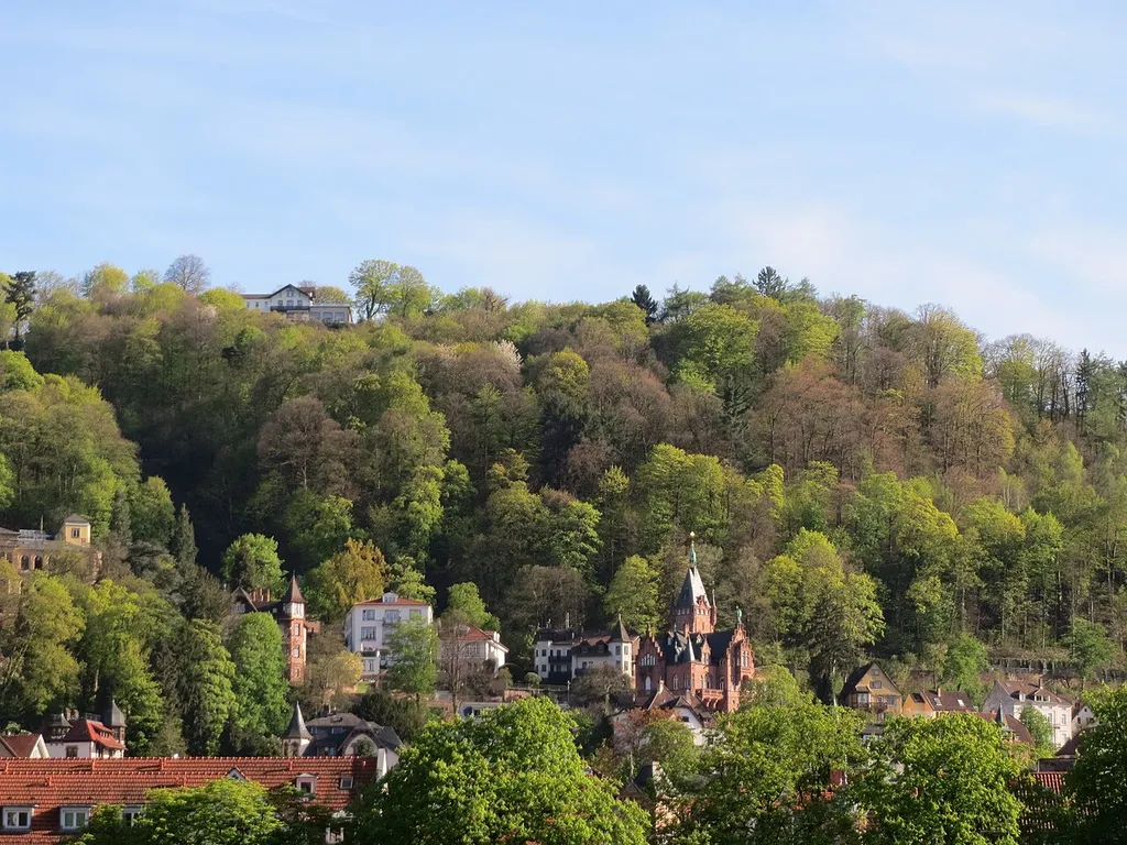 Lage der Oberen Burg auf der Molkenkur in Heidelberg