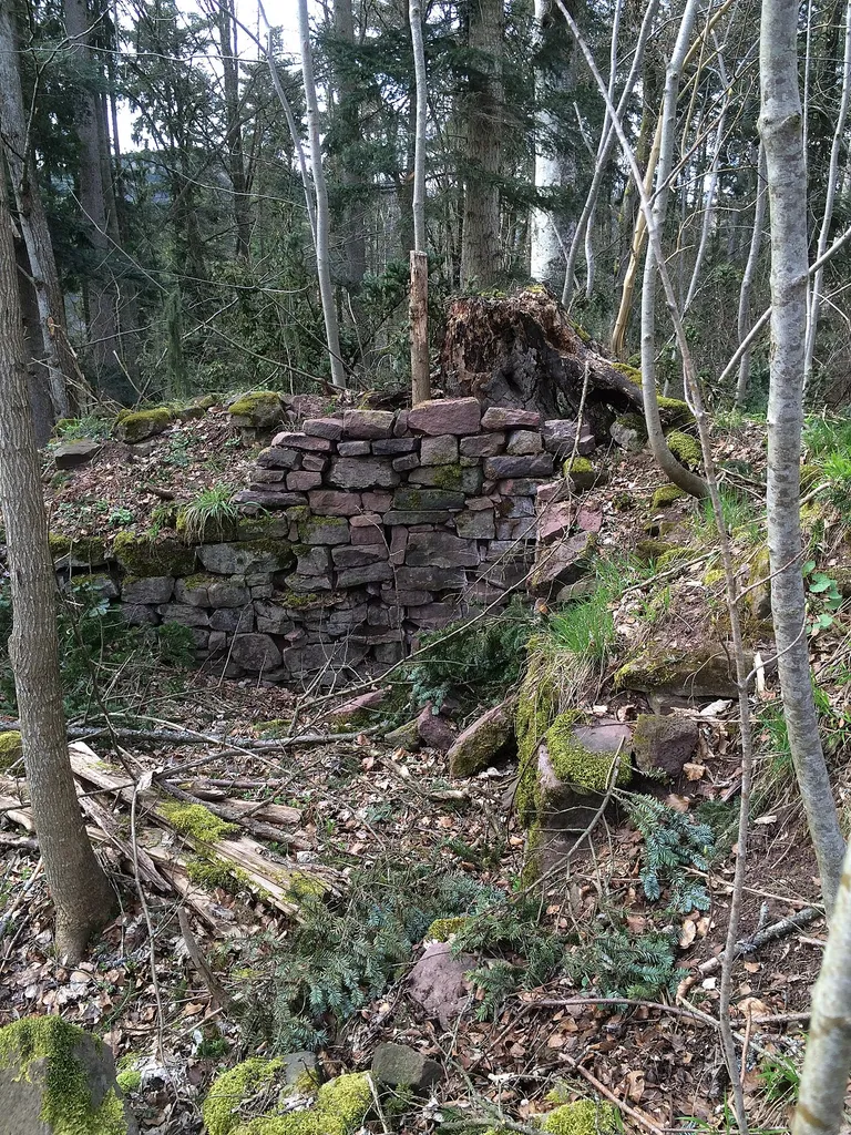 Mauerreste Dickener Schlössle