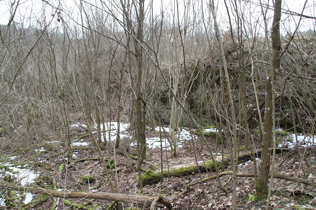 Blick auf den Burgstall Kleinziegenfeld. Bearbeitungsspuren an den beiden zu sehenden überwucherten Felsen deuten darauf hin, dass sie Teil von Gebäuden oder Mauern waren