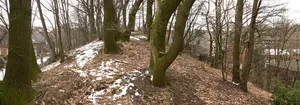 Scheverlingenburg