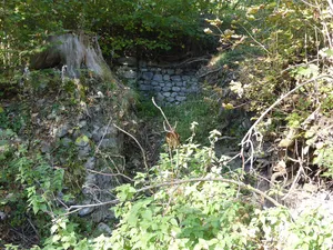 Burgstall Plankenau