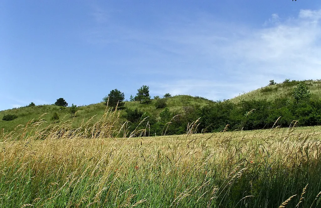 Ziegenberg bei Heimburg