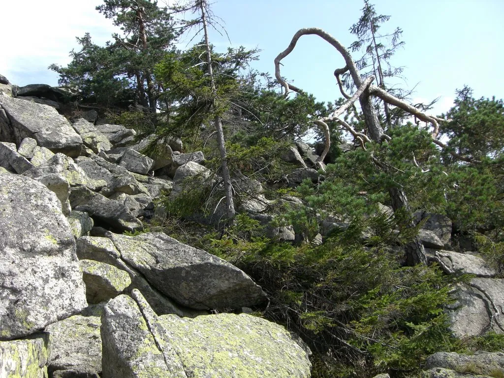 Haberstein