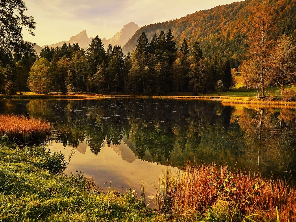 Moore und Extensivwiesen bei Berchtesgaden
