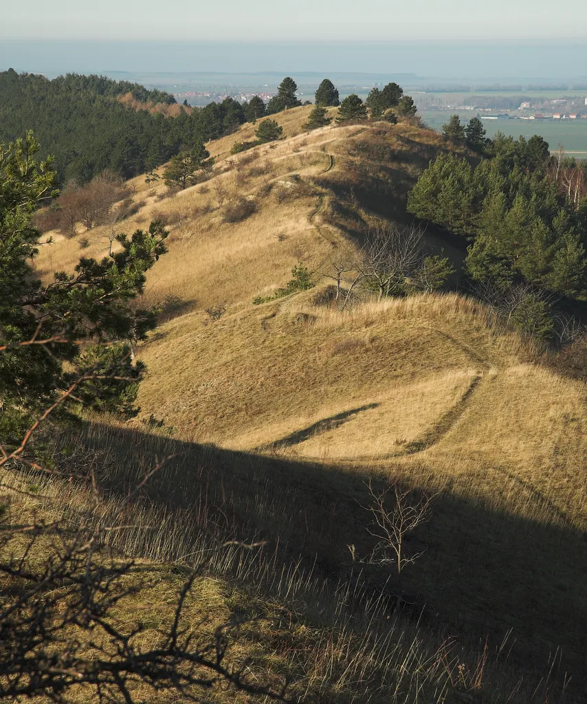 Ziegenberg between Heimburg and Benzingerode, Saxony-Anhalt, Germany