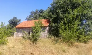 Saint Nicholas Church, Džidimirci