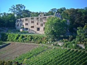 Castle Landskron