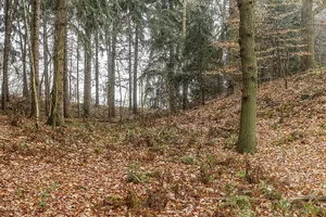 Altenburg