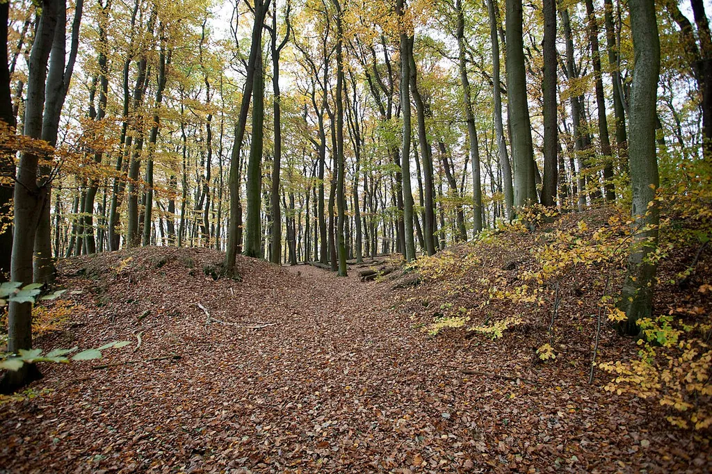 Wallreste der Uffoburg