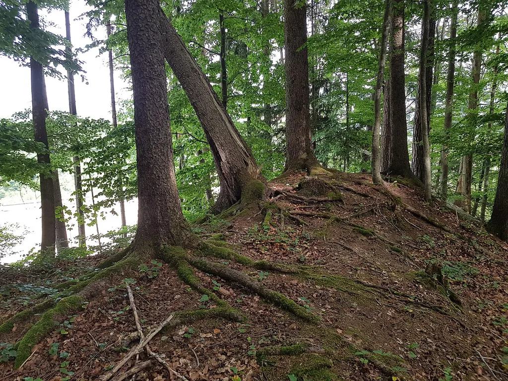Burgstelle Alt-Meldegg, Gaiserwald, St. Gallen. Blick Richtung Osten zur Deponie Tüfentobel.