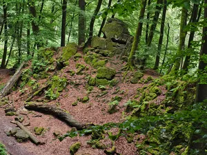 German-Luxembourg Nature Park