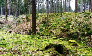 Burgstall Siedelberg