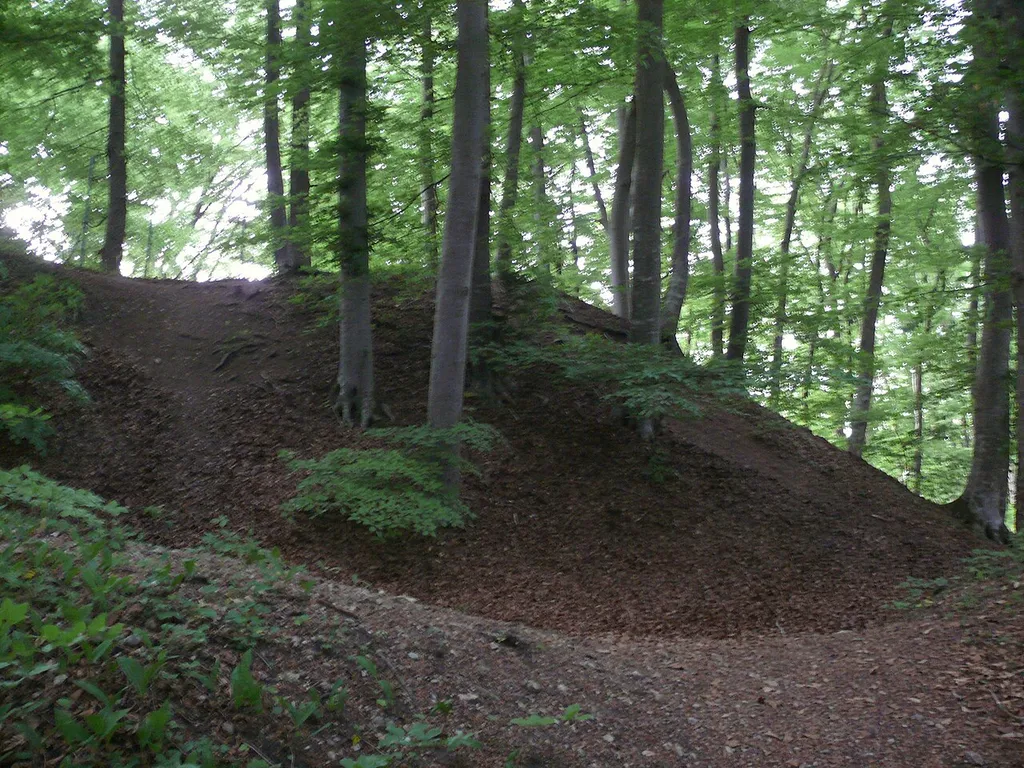 Steinebach am Wörthsee: Burgstall Burgselberg