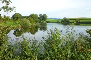 Neuravensburger Weiher