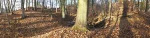 Burg Schlierbach