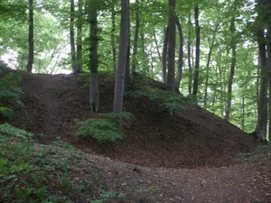 Burgstall Burgselberg