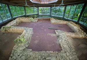 Kreuzkirche