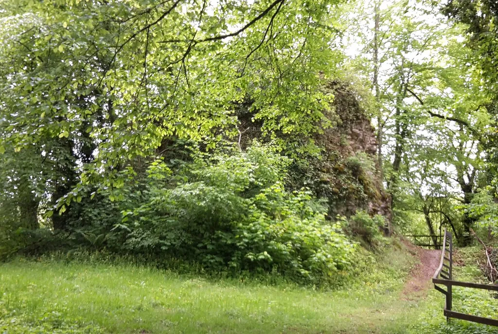Castle ruin Frauenhaus in Neuburg (Inn)