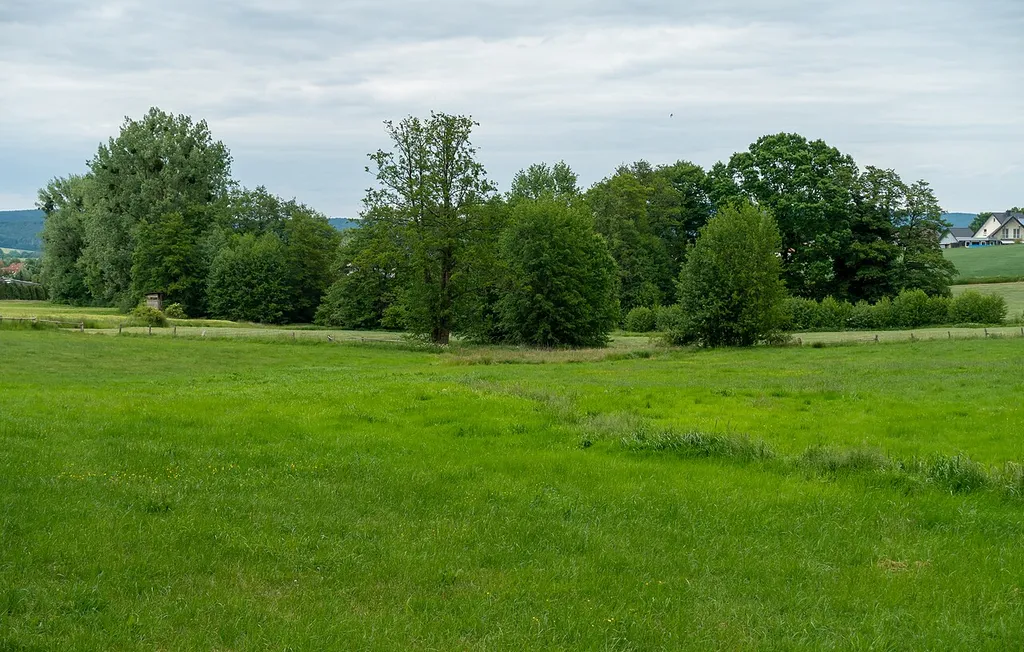 Landschaftsschutzgebiet Siek westlich Reelkirchen in Blomberg-Reelkirchen, Kreis Lippe