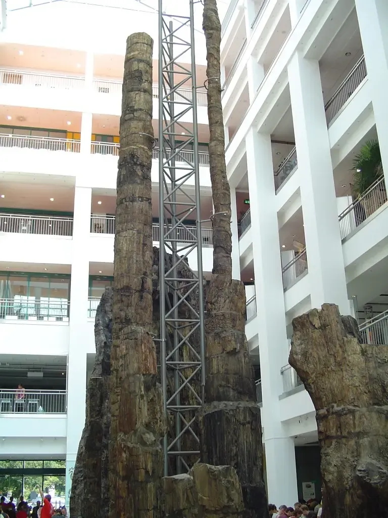 Museum of Natural History Chemnitz