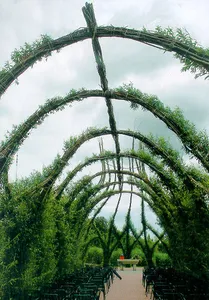 Willow church