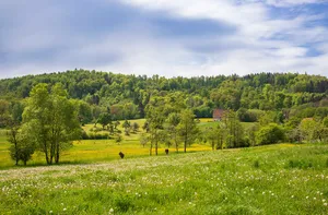 Ostabfall der Waldenburger Berge mit Streiflesberg, Streifleswald und angrenzenden Gebietsteilen
