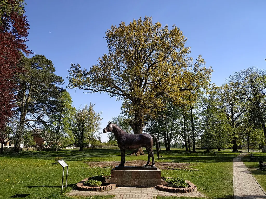 Trakehnen main stud farm