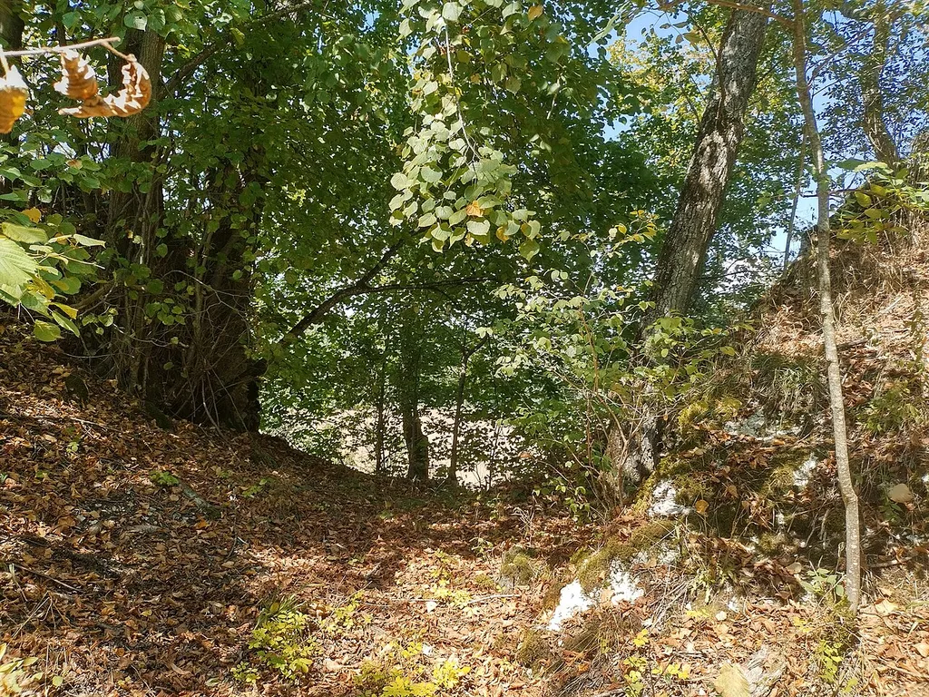Graben vor der Kernburg_Burgstall Salzbuehl