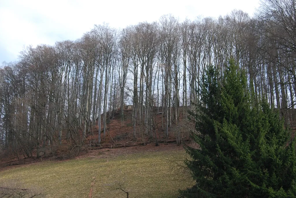 Melchnau (castle ruins Grünenberg), canton of Bern, Switzerland