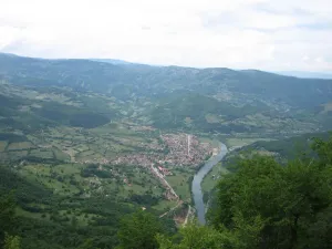 Brodarevo
