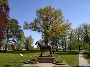 Trakehnen main stud farm