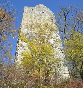 Burg Kallenberg