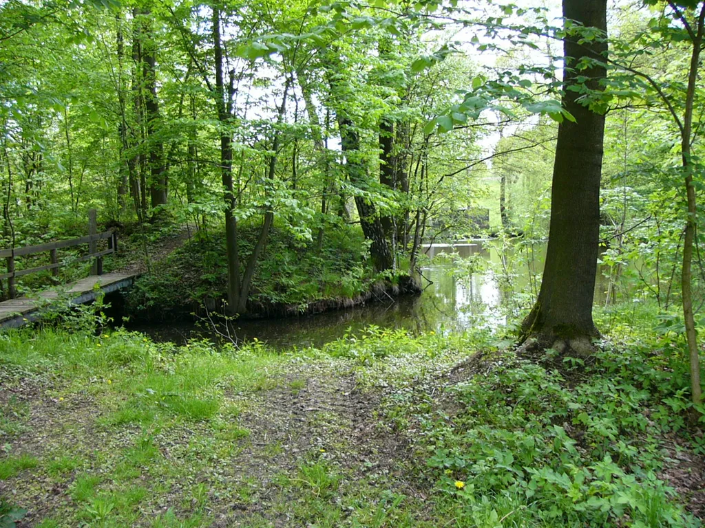 Zugang zur Insel, Motte in Woja