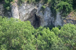 Felshang am Fischerholz N von Harburg