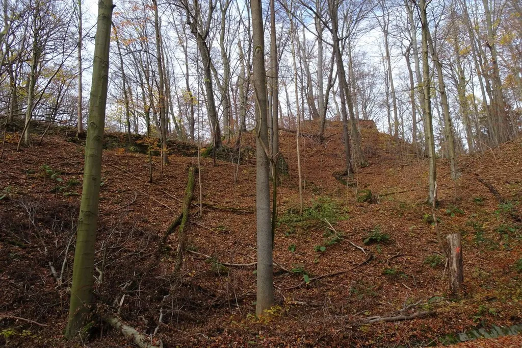 Burgruine