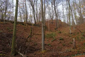 Burgruine Helfenberg
