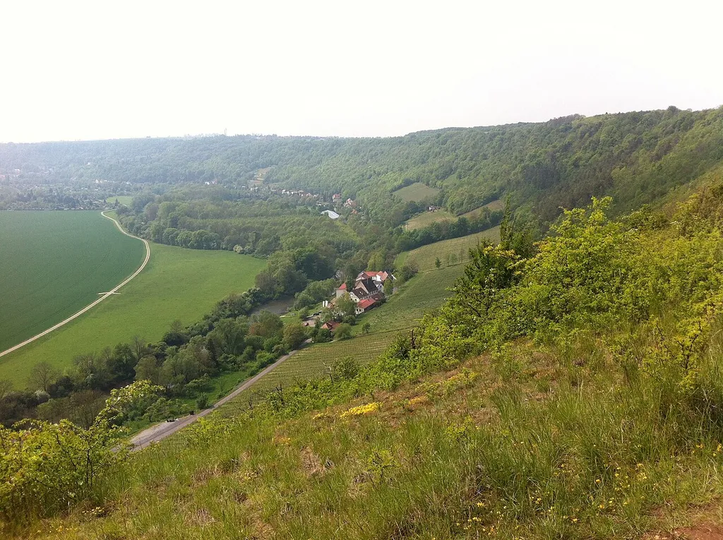 Saale (Burgenlandkreis)