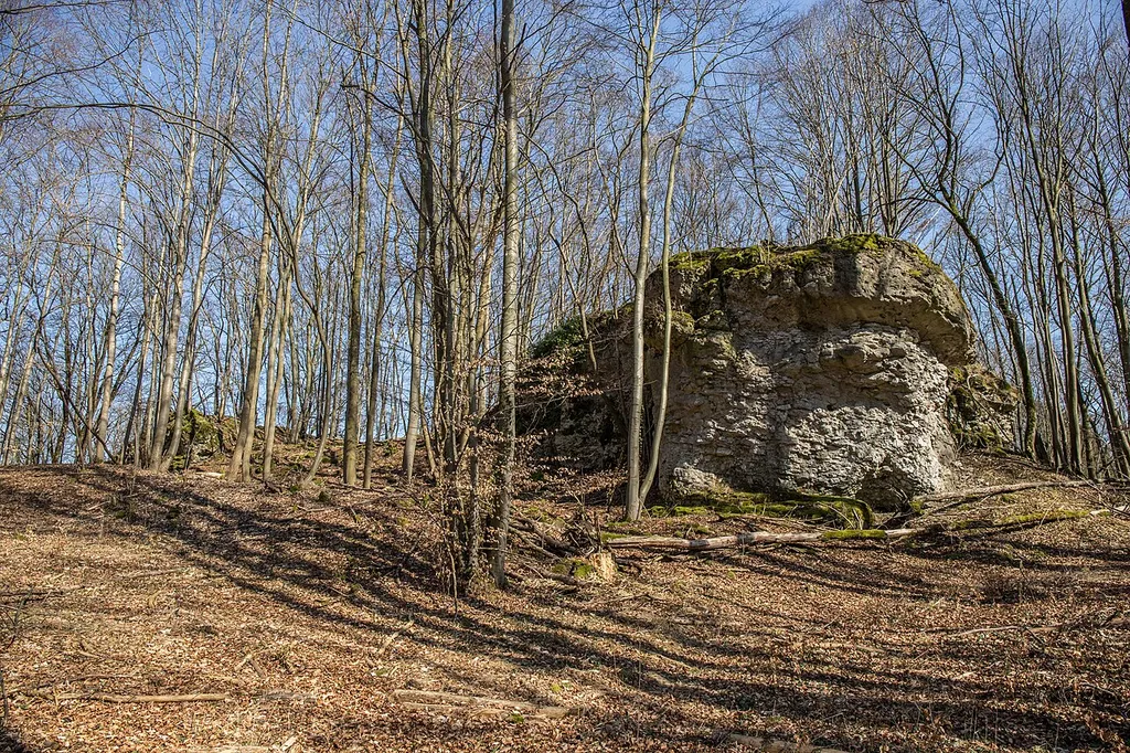 Burgstall Großes Haus - Ansicht der Westseite des Burgstalles