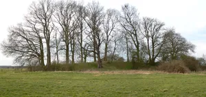 Bunkenburg
