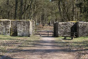 Castra of Kapersburg