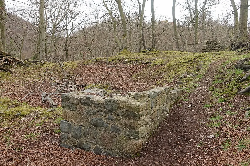 Bad Harzburg, Landkreis Goslar, Reste des Palas der Kleinen Harzburg