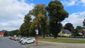 Winterlindenallee auf dem Bahnhofsvorplatz