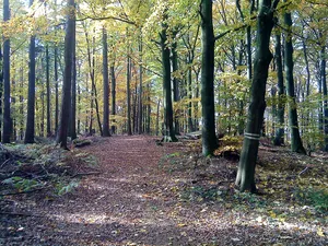 Altenburg