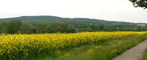 Rehburg Hills