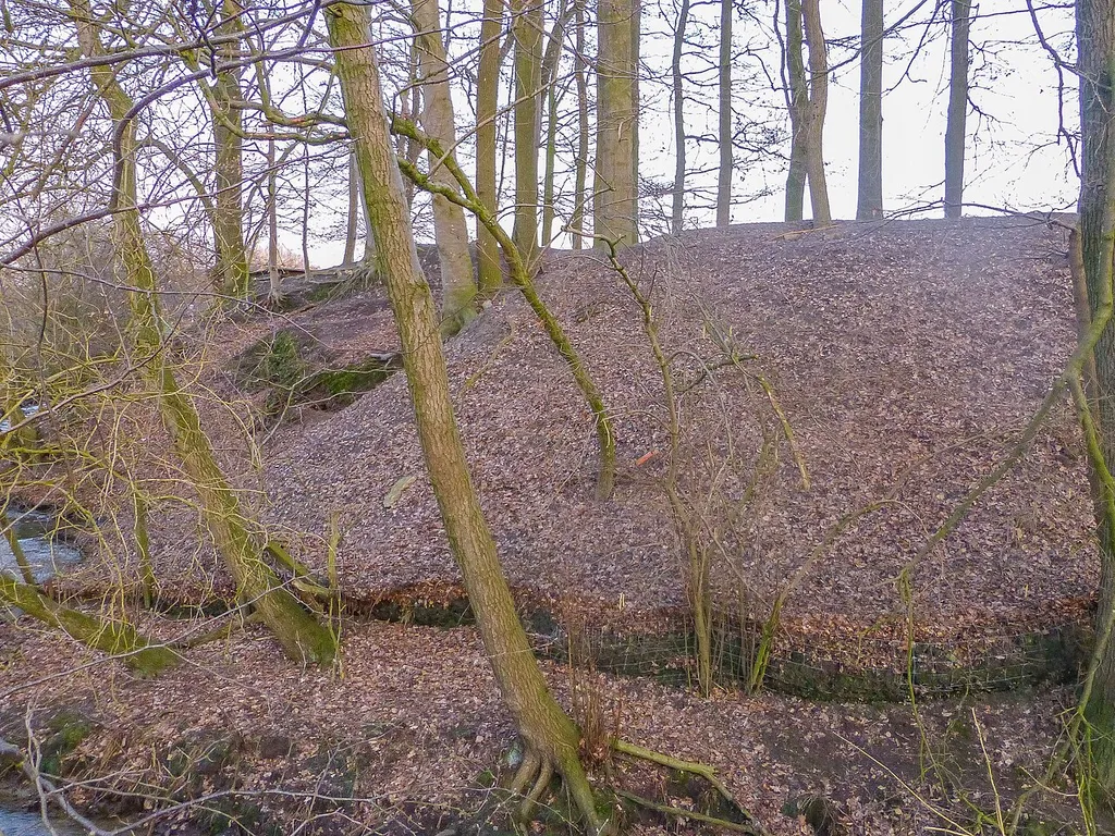 Der Vorwall der Wittekindsburg bei Rüssel von Norden